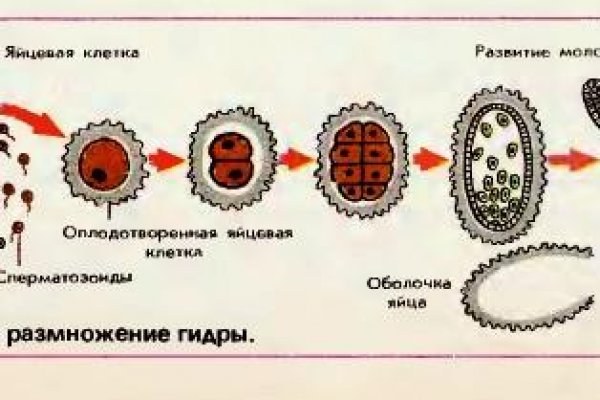 Кракен 12 at